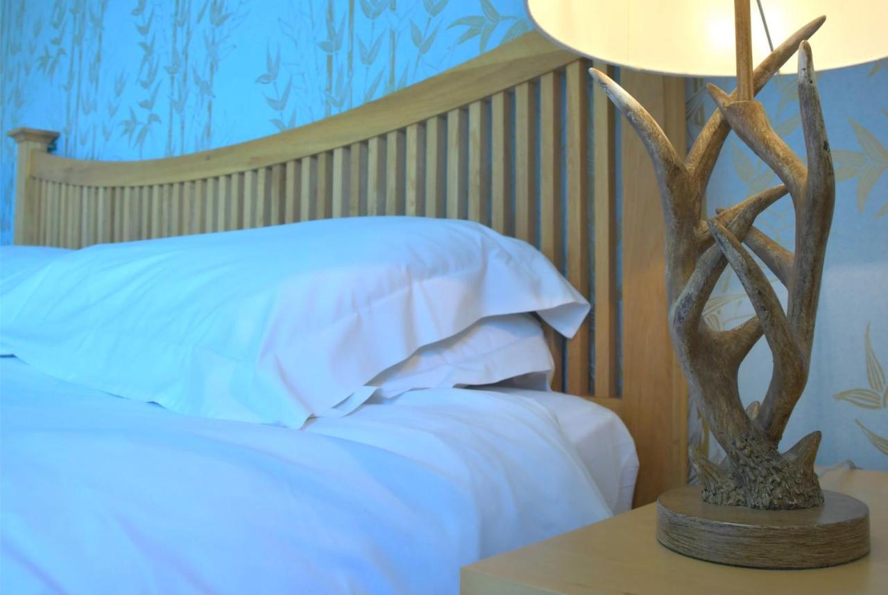 No12 Bed And Breakfast, St Andrews Eksteriør bilde