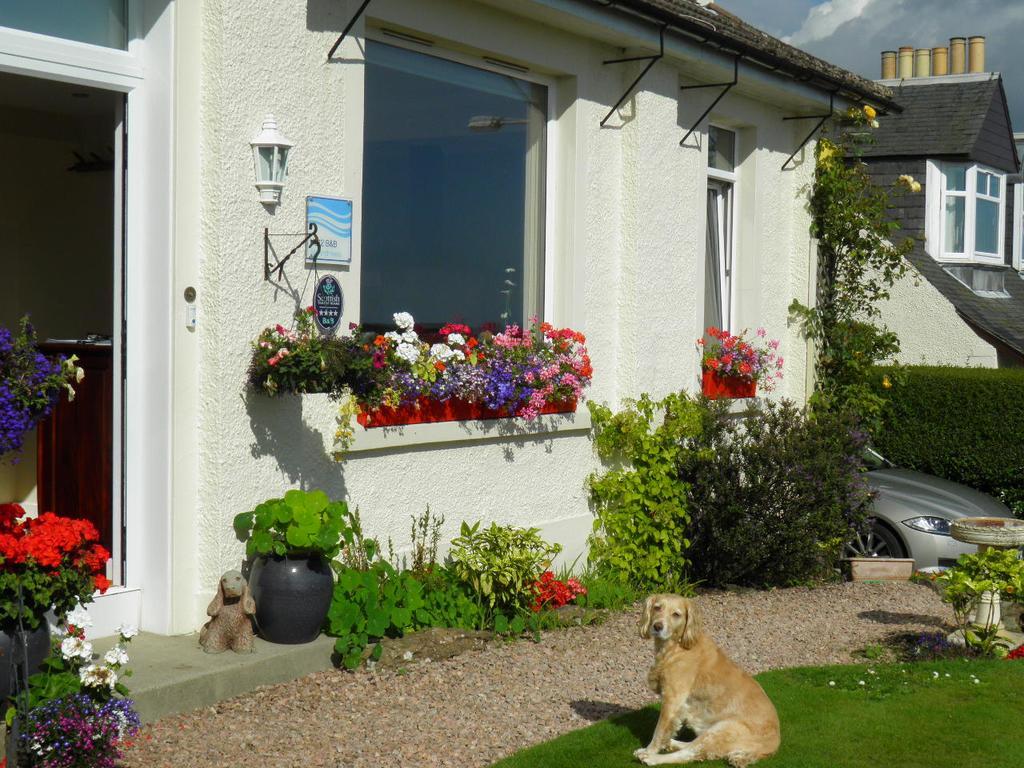 No12 Bed And Breakfast, St Andrews Eksteriør bilde